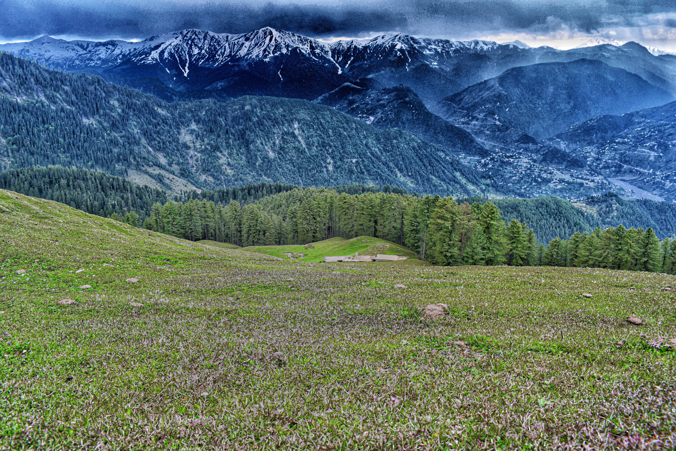 Valley of Flowers, Uttarakhand – A Magical Blooming Paradise (By Abhay)